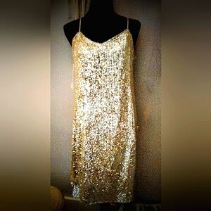 Champagne/Silver Sequined Cocktail Dress